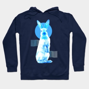 Year of the Water Rabbit Hoodie